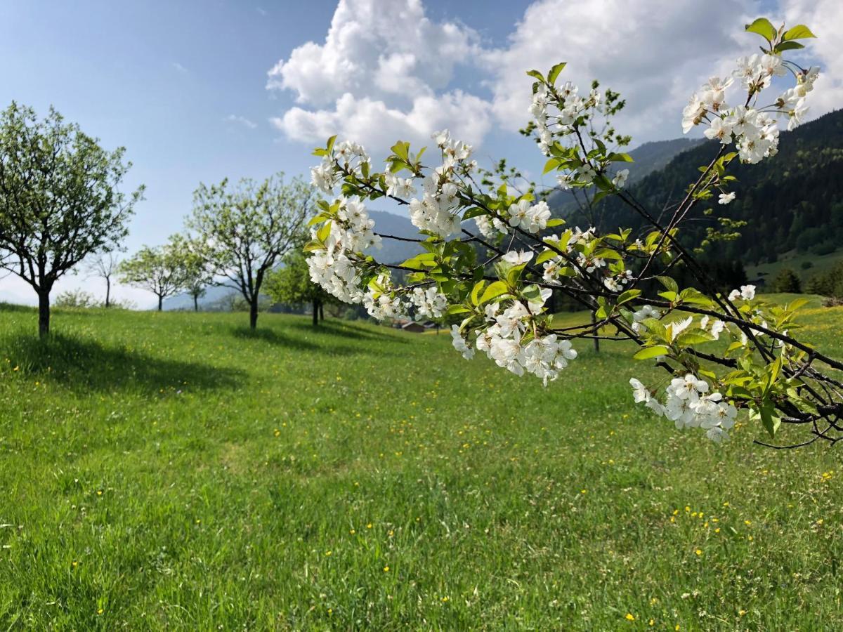 Alpenhof Kruen Hotel Kültér fotó