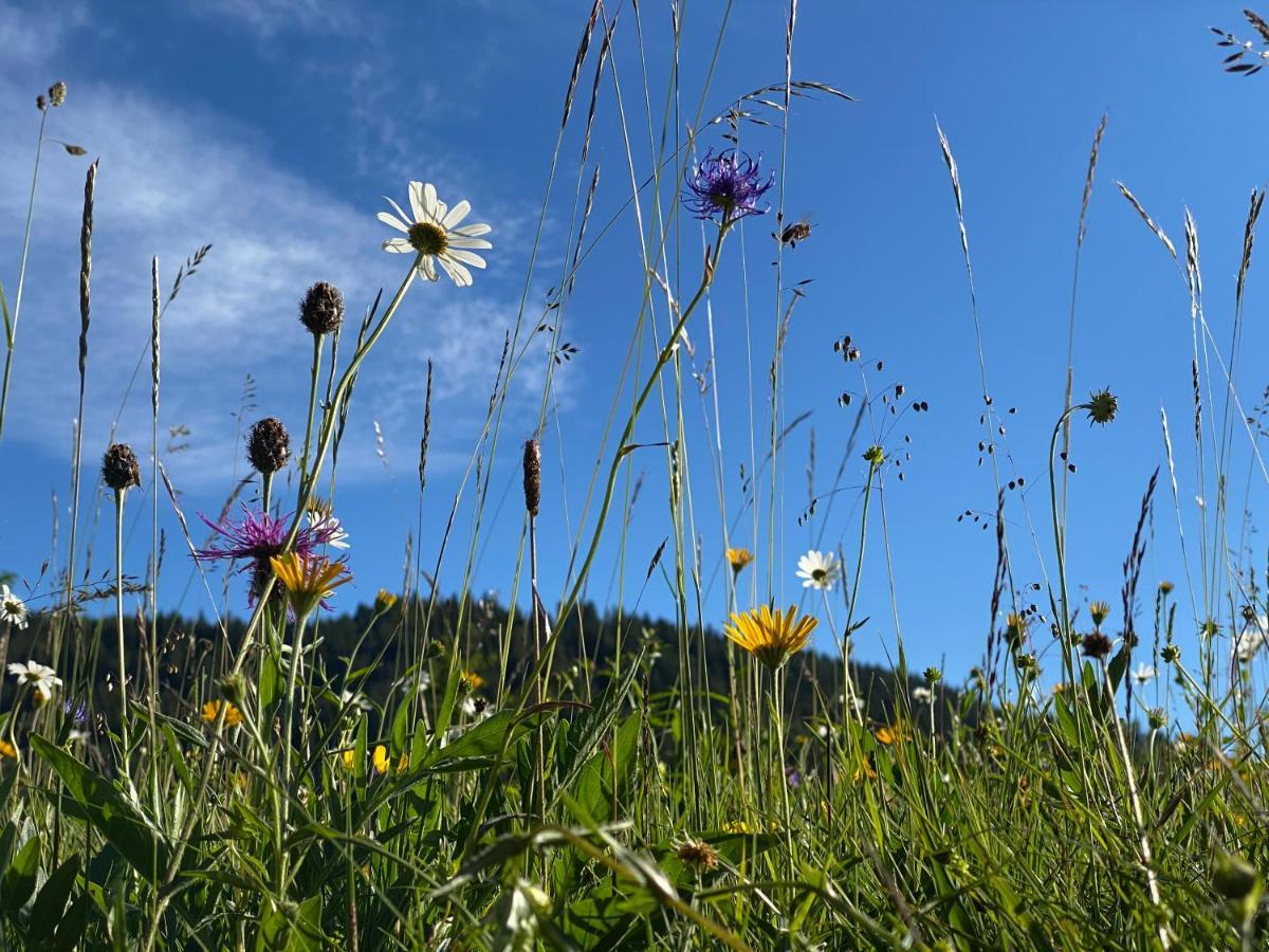 Alpenhof Kruen Hotel Kültér fotó