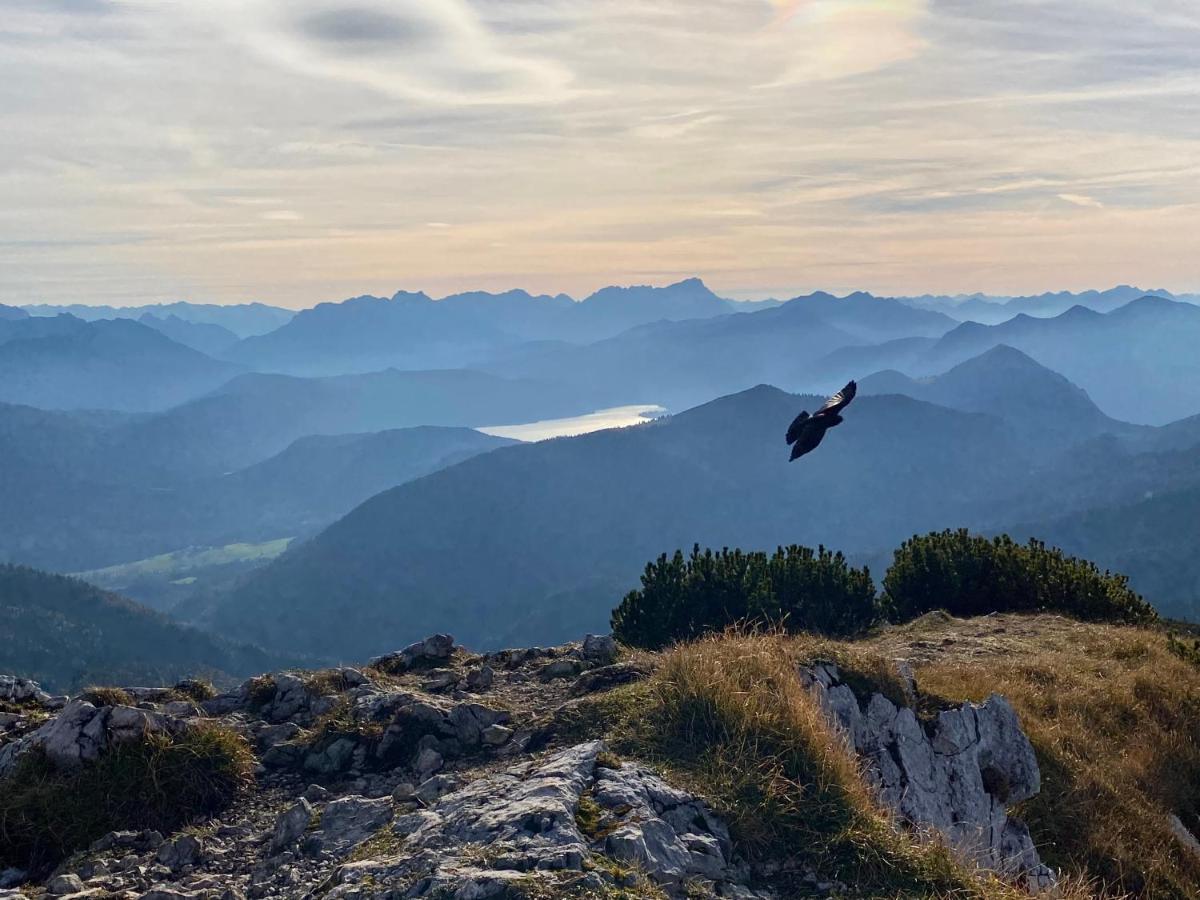 Alpenhof Kruen Hotel Kültér fotó